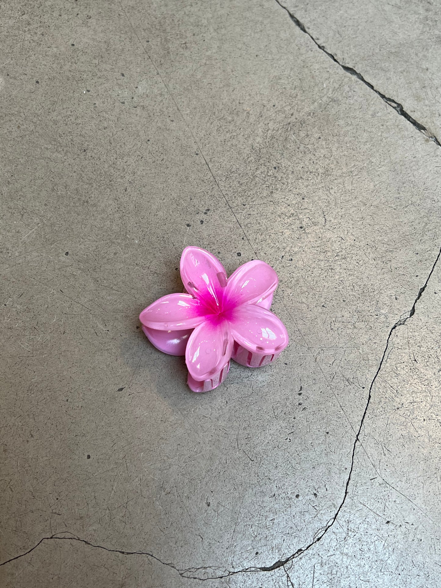 Tropical Flower Hairclips