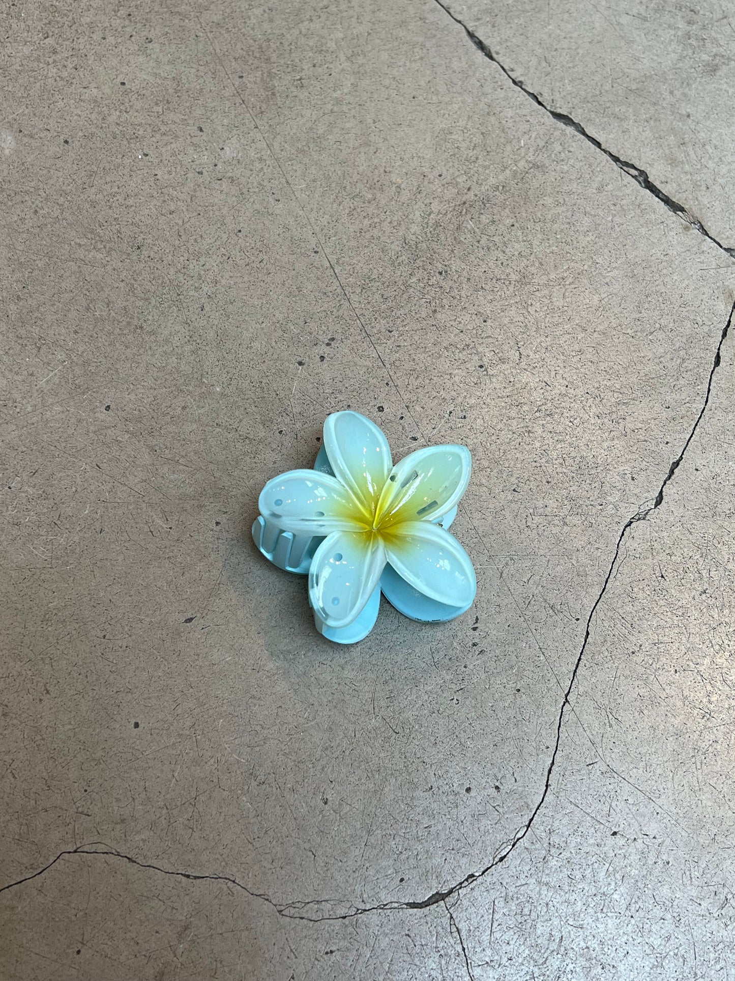 Tropical Flower Hairclips