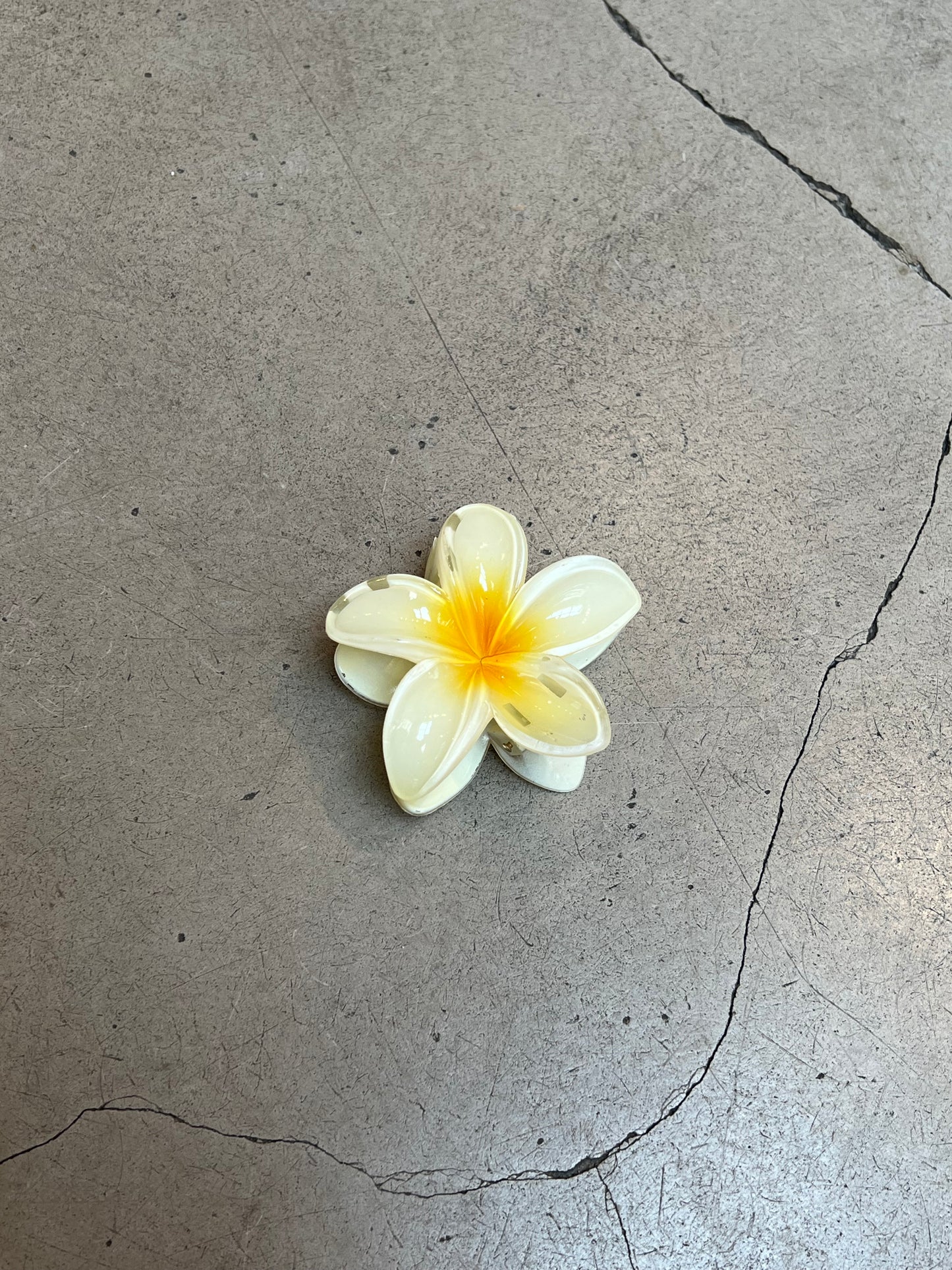 Tropical Flower Hairclips