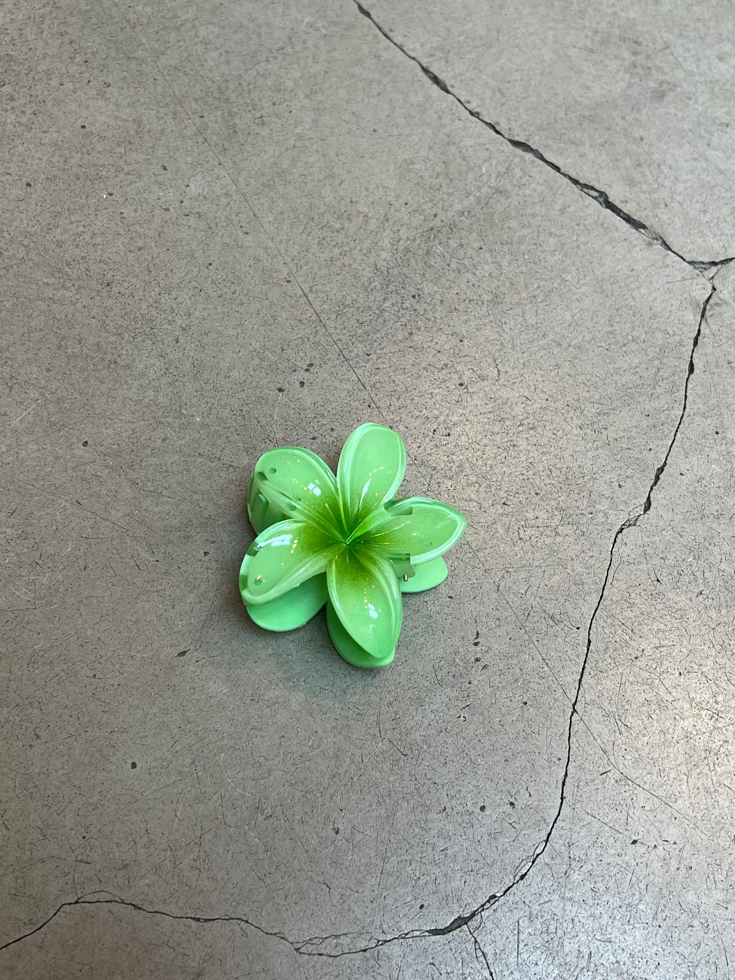 Tropical Flower Hairclips