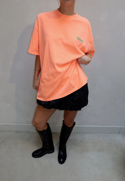 Stieglitz T Shirt Orange